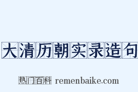 大清历朝实录造句是什么意思的图片